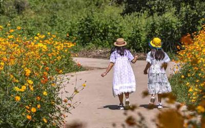 ¿Qué hacer en Toledo con niños?